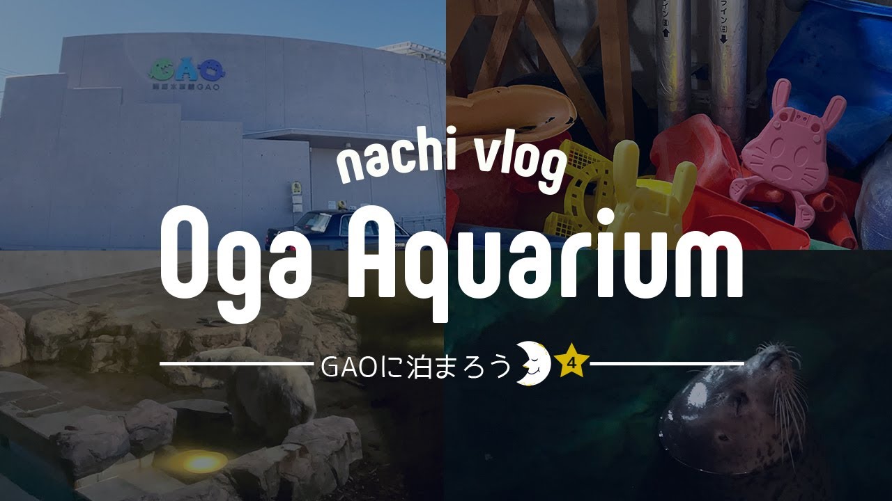〈男鹿水族館GAOに泊まろう４〉夜の水族館 / 男鹿水族館GAOの裏側に失礼します / まったり豪太とフリーズするユキちゃん〈水族館巡り〉