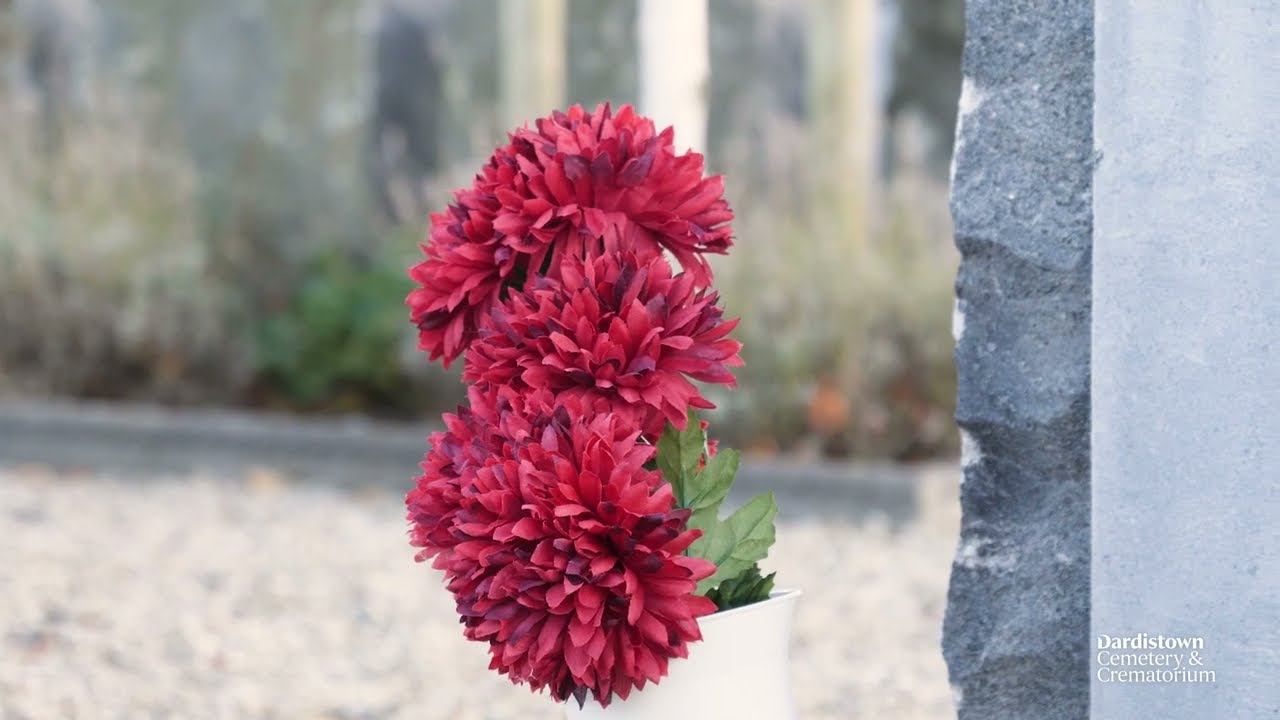 Buying a Grave in Dardistown Cemetery -  Dublin Cemeteries Trust