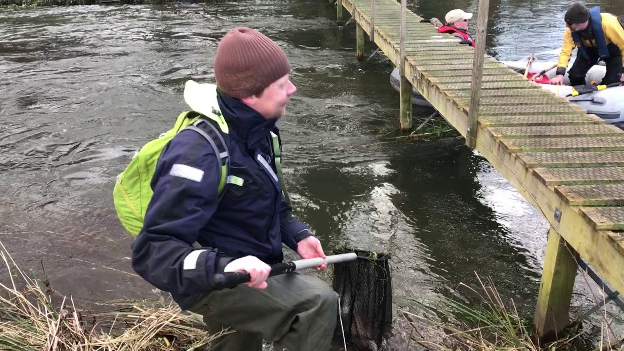 GWCT fisheries team in action - February 2018