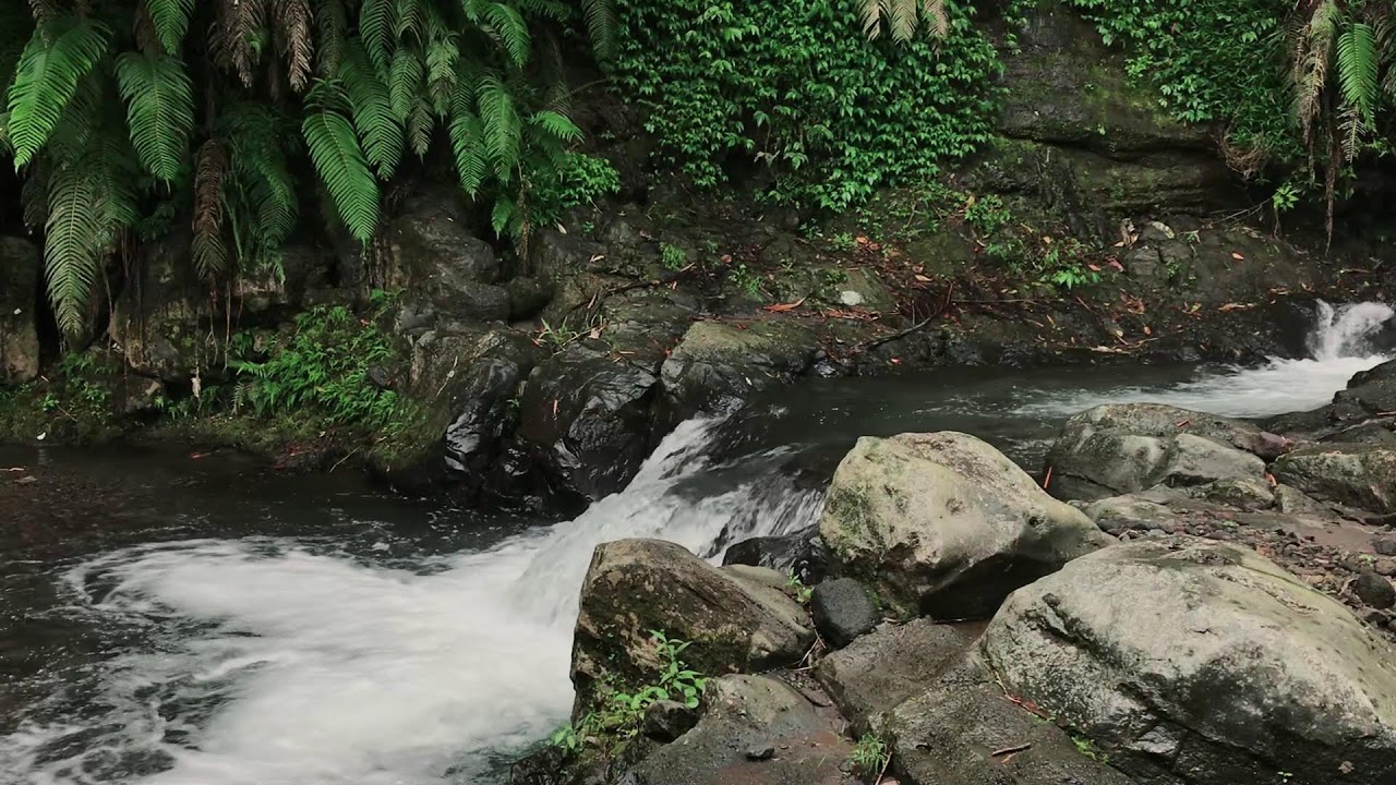 Dreamy Gentle River Background Noise | For Better Sleep, Concentration & Study