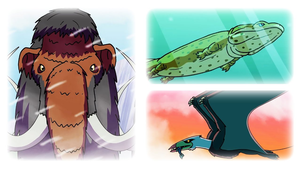 Prehistoric Scotland | Animation