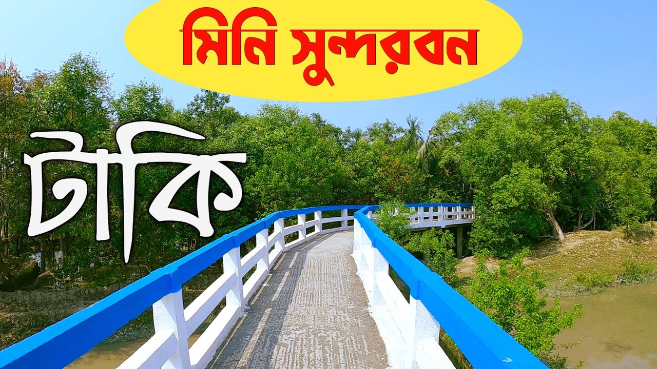 একদিনে ঘুরে এলাম টাকি থেকে | টাকি Sightseeing | গোলপাতা মিনি সুন্দরবন | Taki Tour 2023