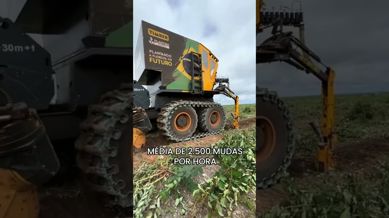 Ponsse B&uacute;falo king + Plantmax, para plantio de &aacute;rvores