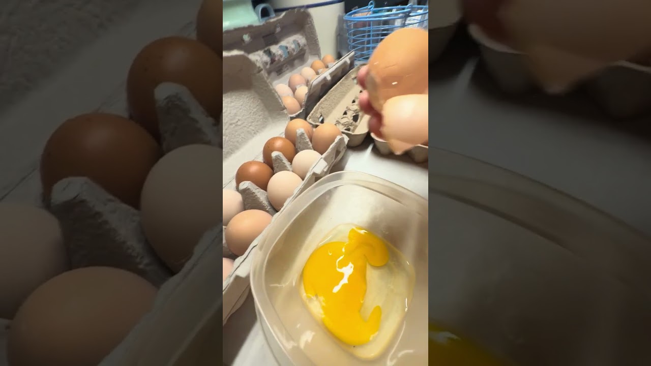 Weird looking egg…