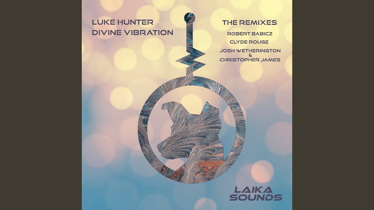 Divine Vibration (Robert Babicz Remix)