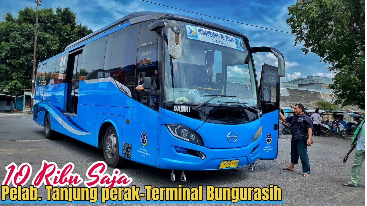 Cuman 10 Ribu Saja !! Bus DAMRI Pelabuhan Tanjung Perak - Terminal Purabaya/Bungurasih