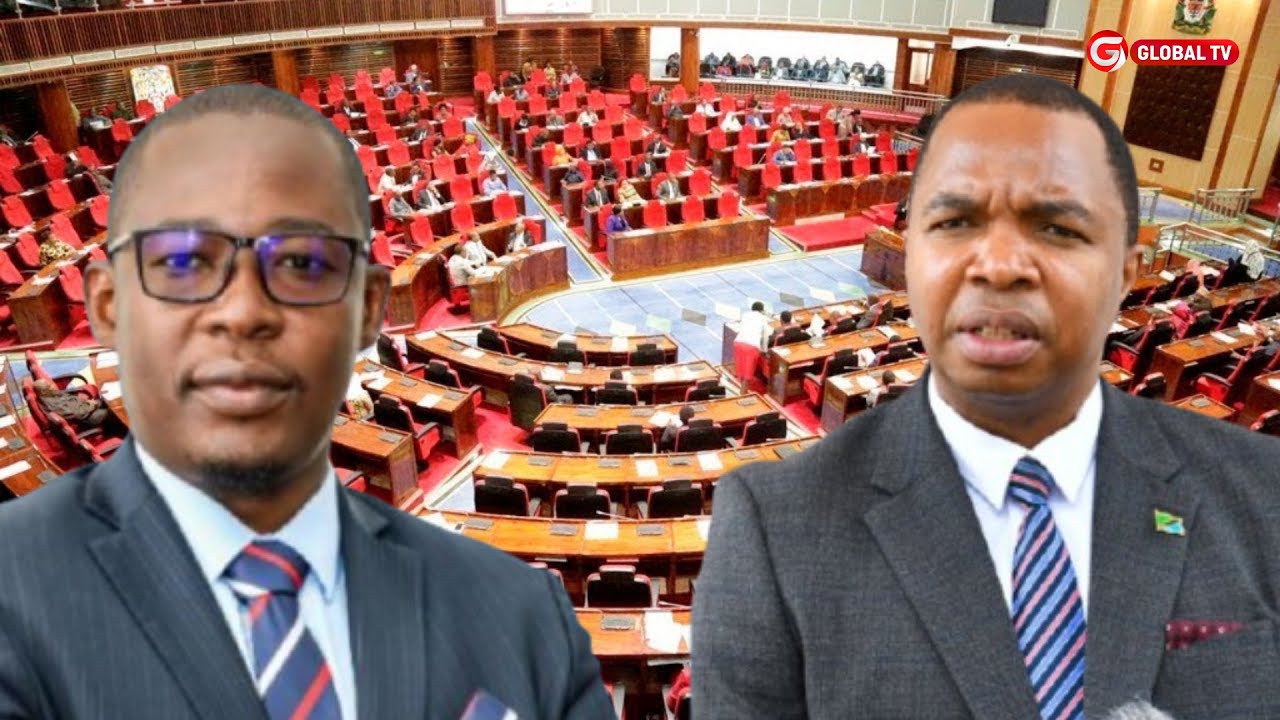 MTANANGE MAJIMBONI: KADOGOSA KUTIMKIA BUNGENI - JIMBO LATAJWA - ATAPAMBANA na N/WAZIRI NDANI ya CCM