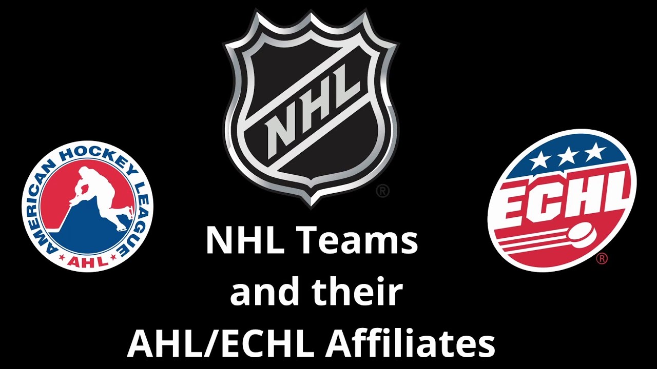 NHL Teams and their AHL/ECHL Affiliates 2024-2025