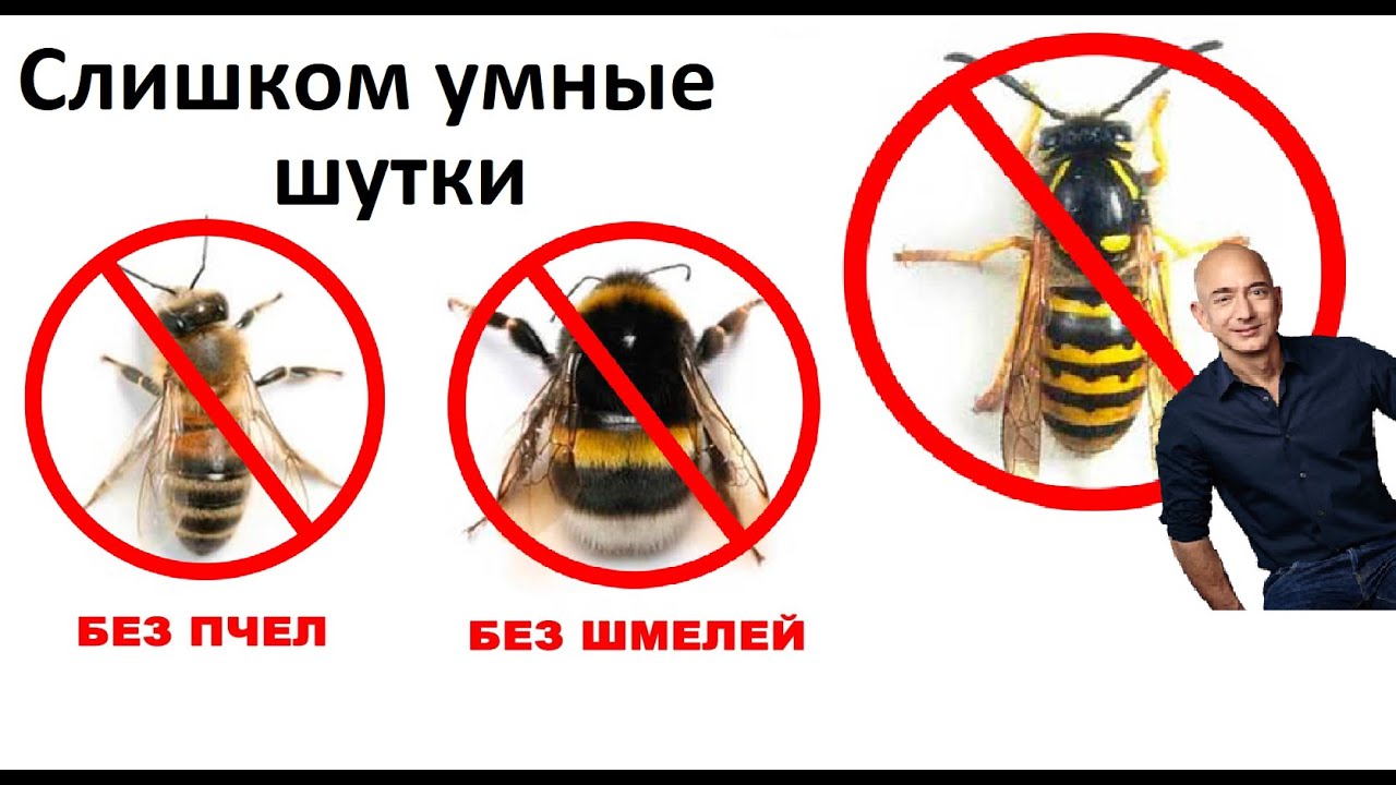 Лютые приколы. Слишком умные шутки
