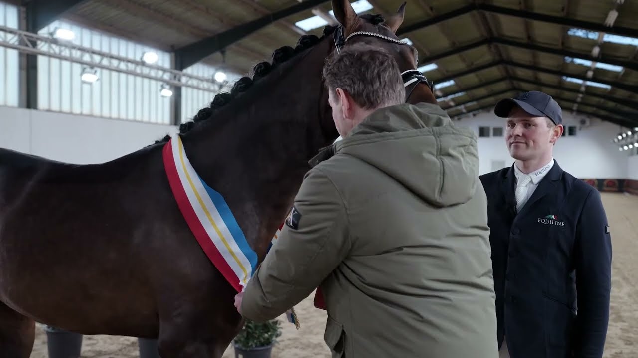 Dynamic Pur (Dynamic Dream x Finest x Dancier, *2021) Hengststation Rene Tebbel