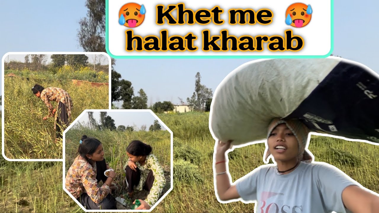 Khet Me Hui Halat Kharab ❤️❤️❤️❤️ Wach Full Video On YouTube ❤️❤️❤️