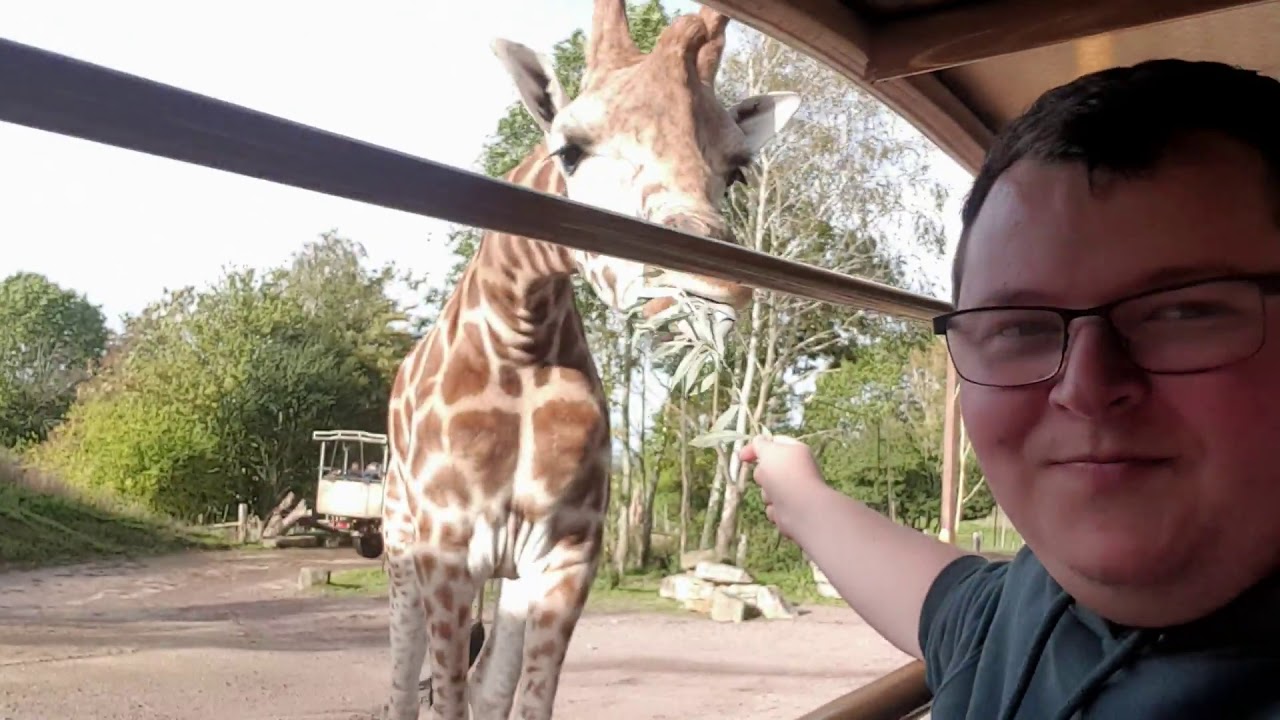 Giraffe Safari Experience - Chessington World Of Adventures Resort - SJBB