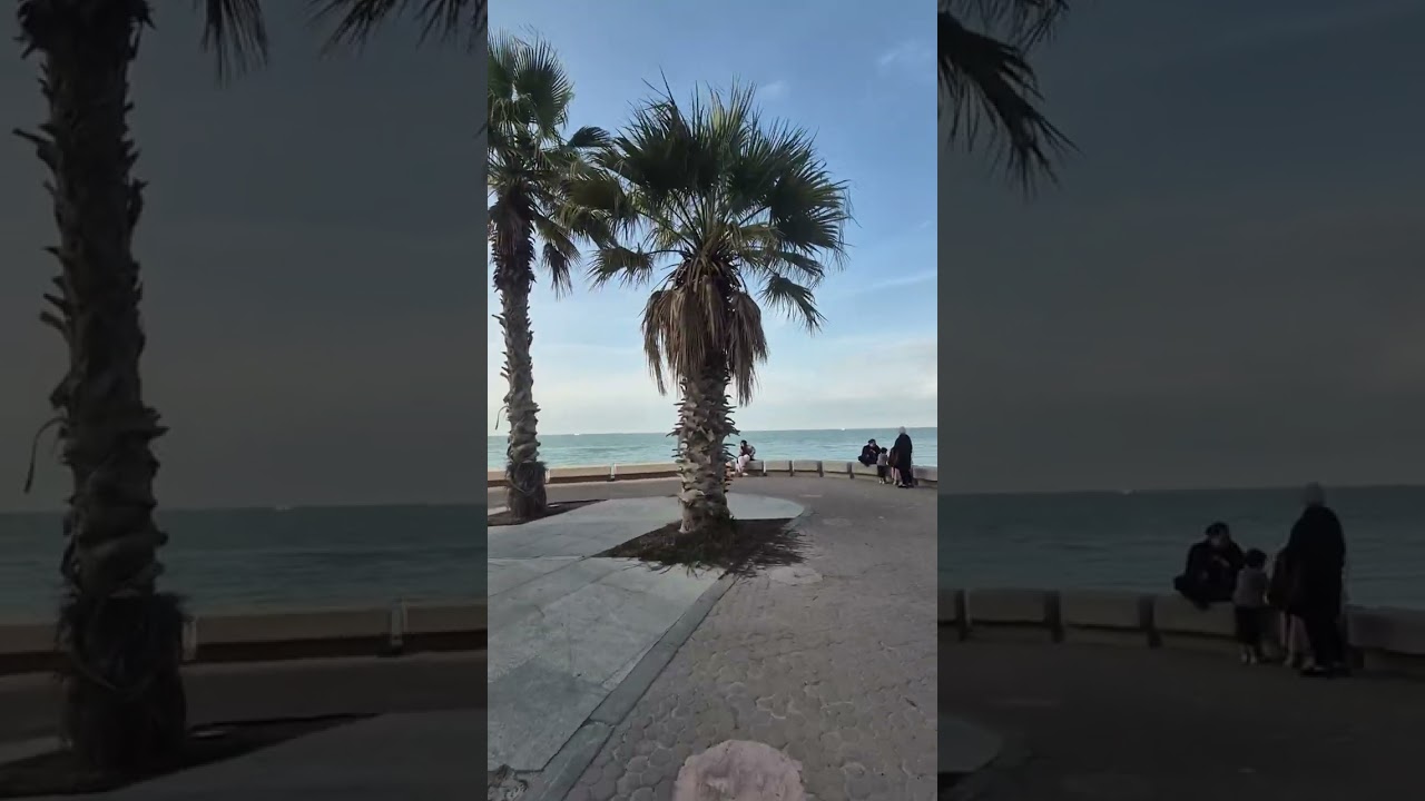 جولة في ممشي المركز العلمي #شاطيء #السالمية #الكويت فلوج بالدراجة 😍 #marina walk #arabian gulf st.