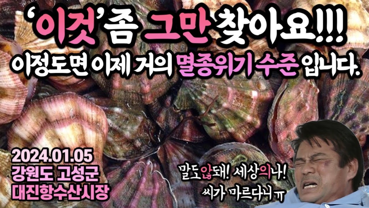 이걸 알면 진짜 미식가!‘너무 맛있어서 이제 멸종위기 수준’에 놓인 수산물을 찾아😭 강원도를 싹 다 털어봅니다.
