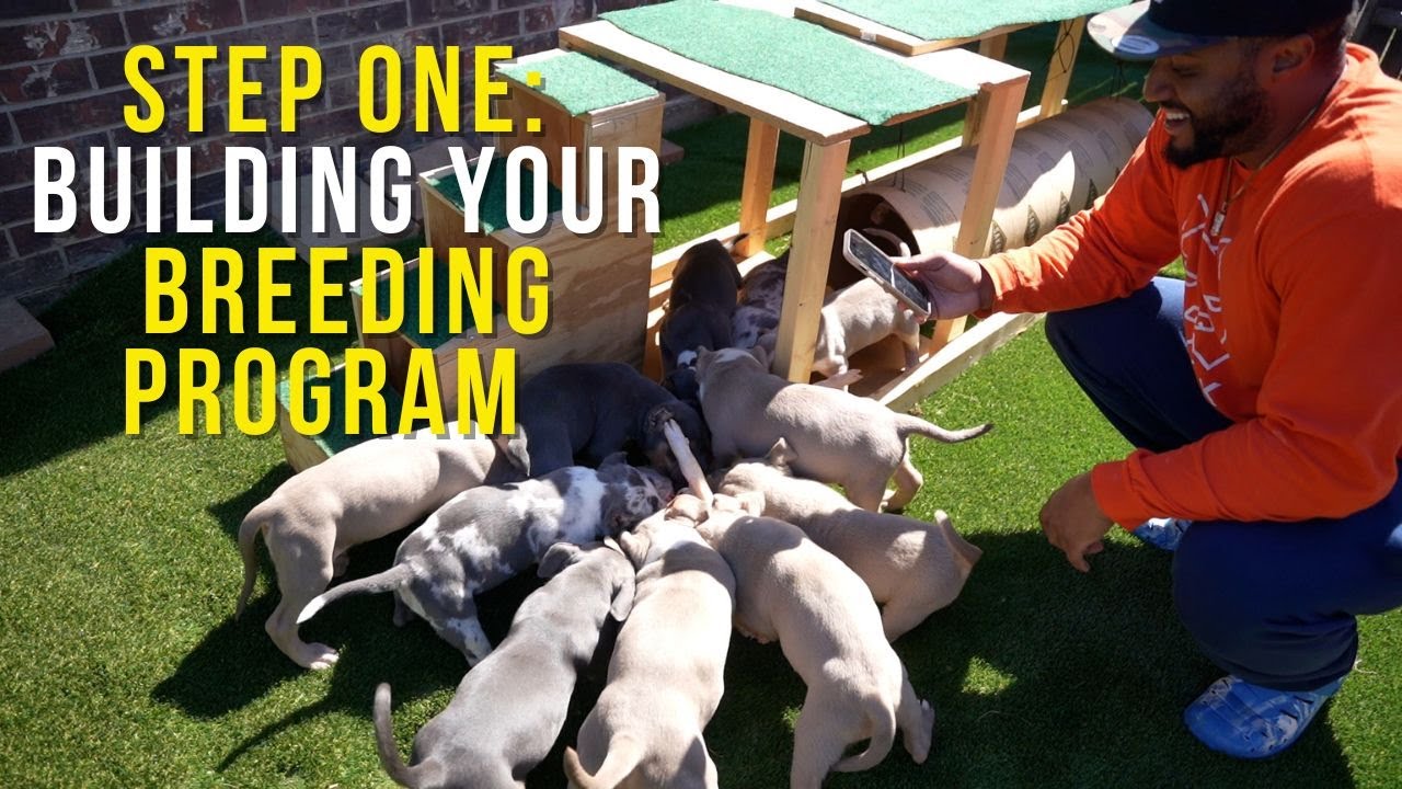 Step One to Starting Your Breeding Program