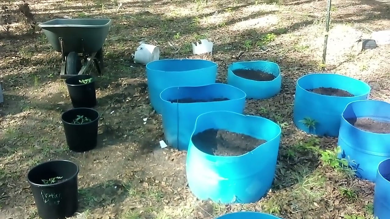 Container Garden