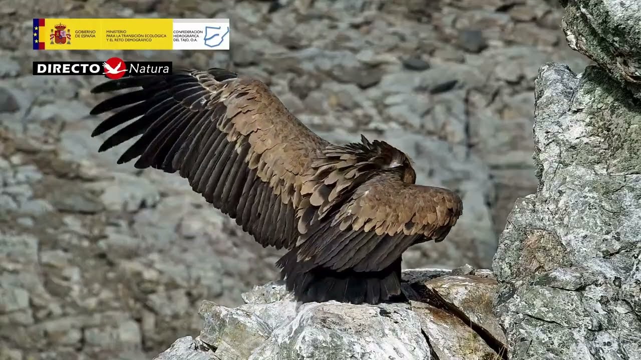Observatorio del R&iacute;o Tajo en Monfrag&uuml;e (C&aacute;ceres) &middot; HIGHLIGHTS 11/25