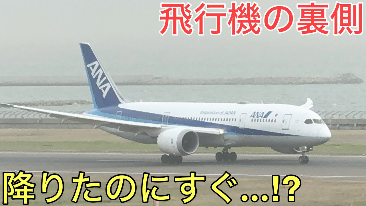 【激レア】滅多に見ることができない特別な飛行機の訓練が行われる中部国際空港(セントレア)の裏側が凄すぎた
