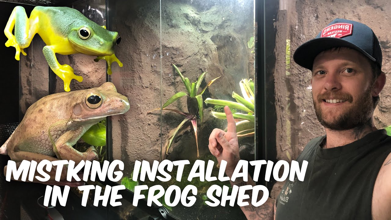 Installing a MIST KING in my FROG ROOM, Wall? Shed. Thing…