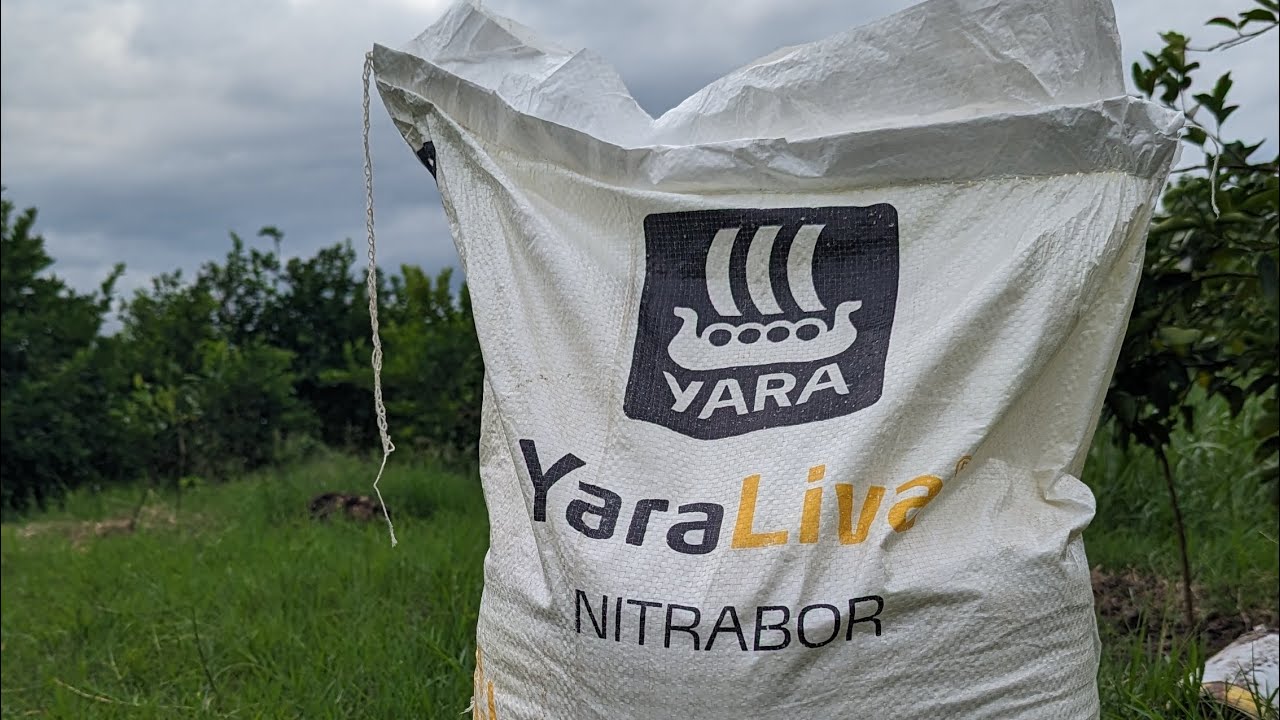 Para que sirve Yara Liva Nitrabor en limon persa