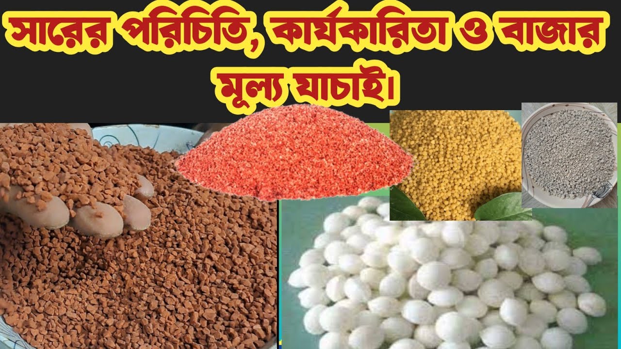 বিবিধ সারের পরিচিতি, কার্যকারিতা ও বাজার মূল্য নিয়ে আলোচনা।