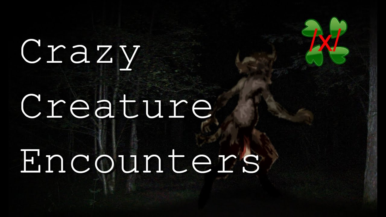 CRAZY CREATURE ENCOUNTERS | 4Chan /x/ Board