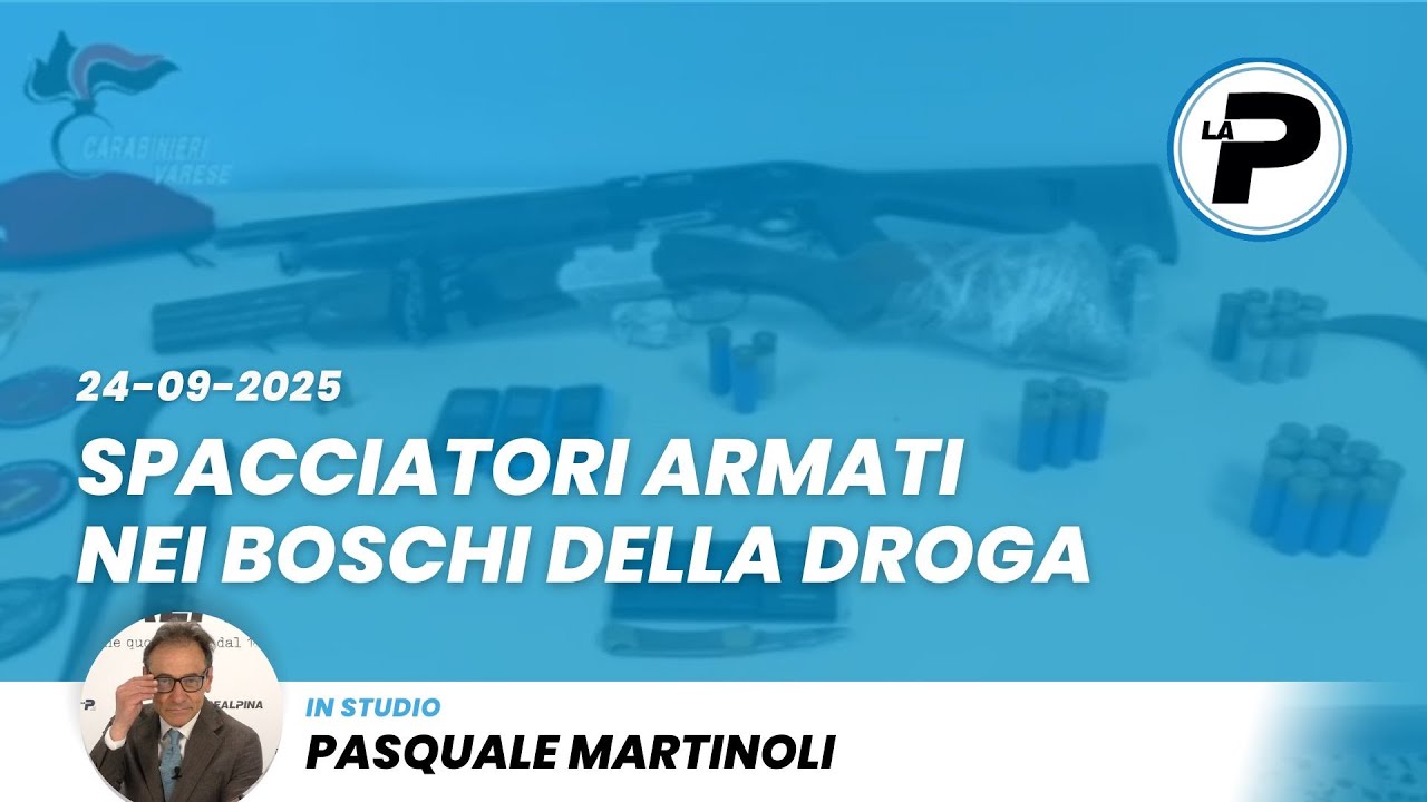 TGPrealpina 24/09/2025 | Spacciatori armati nei boschi della droga