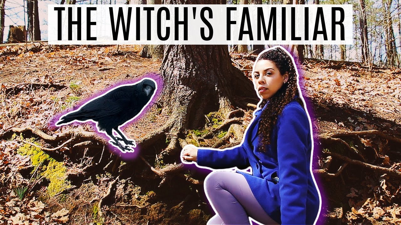 The Witch's Familiar ✨ Familiar Spirits 101