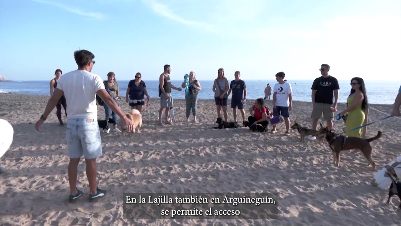 𝐈𝐍𝐅𝐎𝐑𝐌𝐀𝐓𝐈𝐕𝐎 𝐌𝐎𝐆𝐀́𝐍 | Martes 24 de febrero de 2026