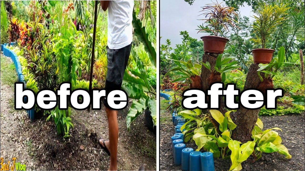 DIY: Simple Garden ideas|| Gamit ang Driftwood, Lemon Lime Philo, Croton plant at Orchid