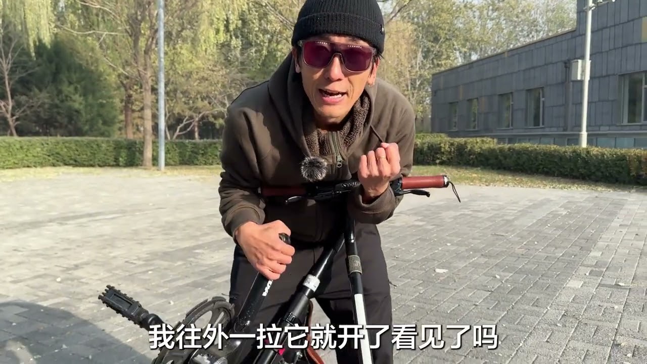 STRIDA神奇三角折叠车