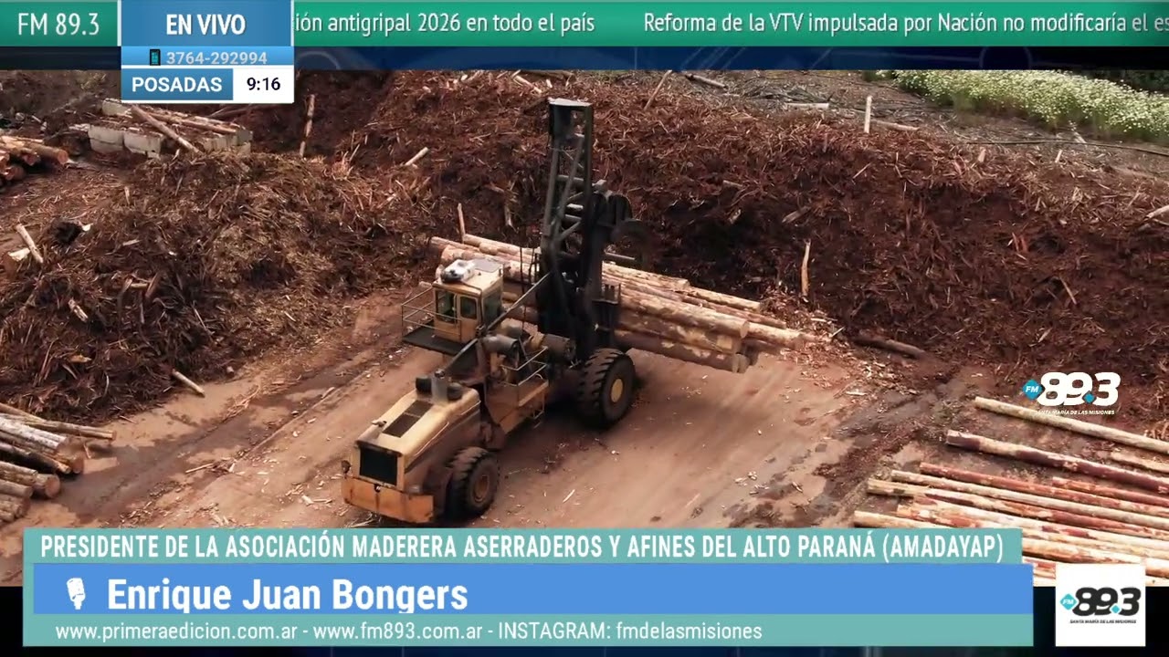 “La foresto–industria está al límite: ventas mínimas y costos imposibles”
