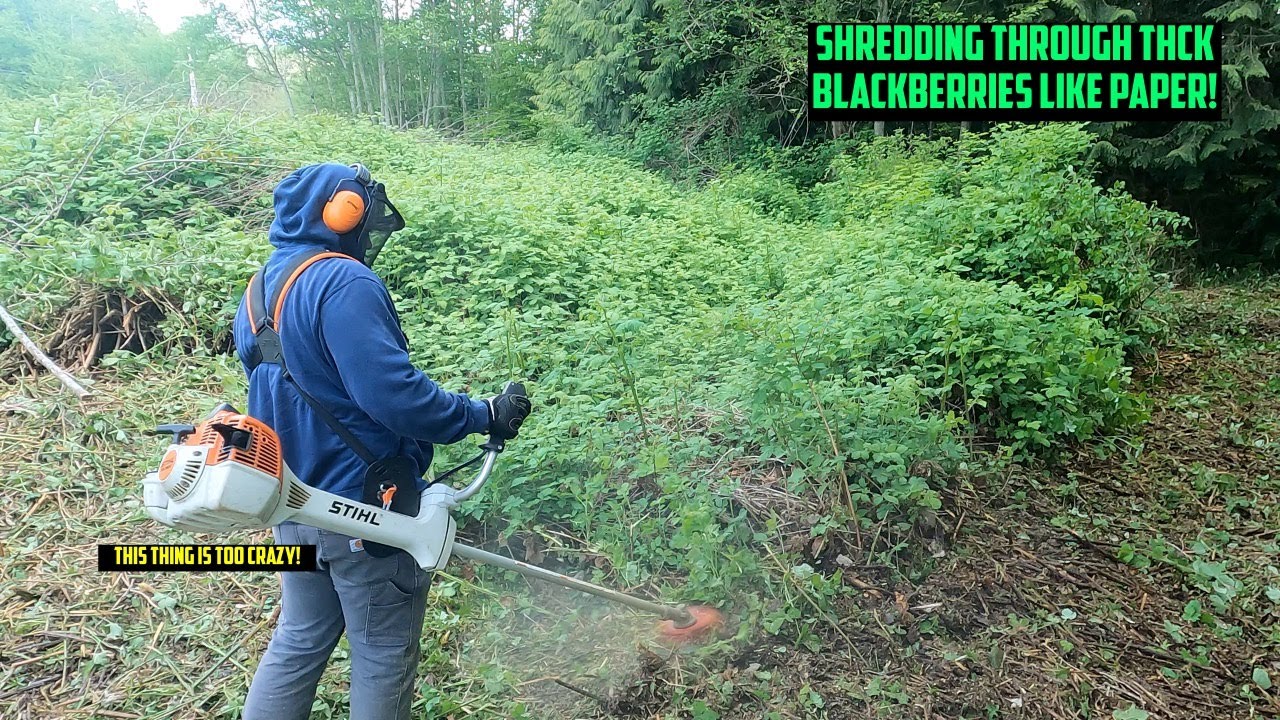 Заросший ежевика против садовой пилы STIHL FS-360 #Stihl #заросший #удовлетворительно