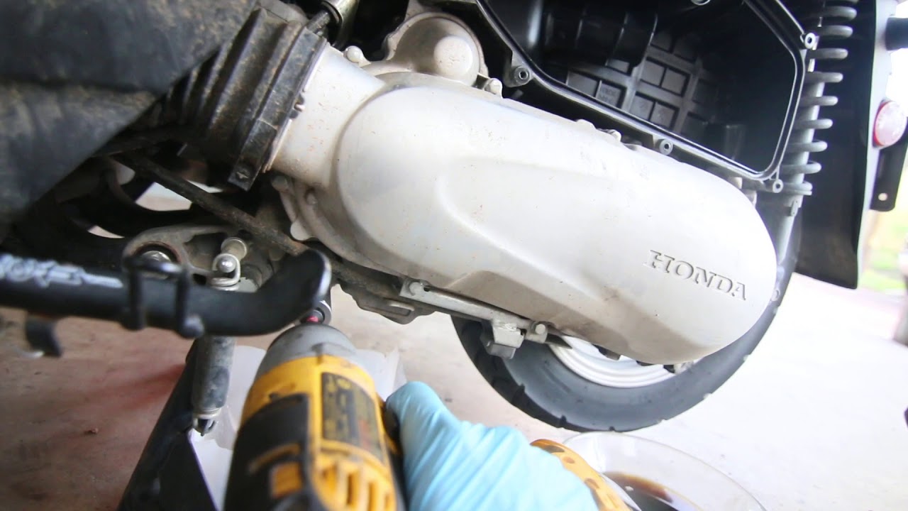 Honda elite oil and gear change