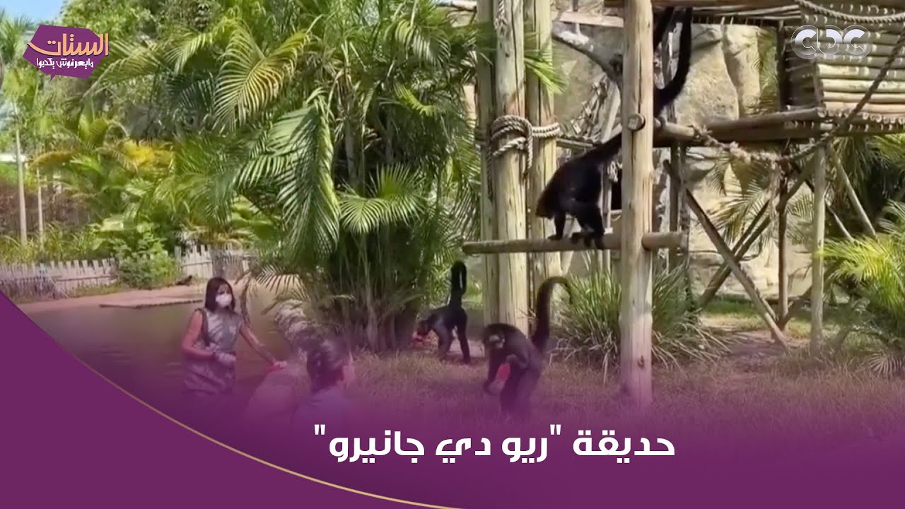 حيوانات حديقة 