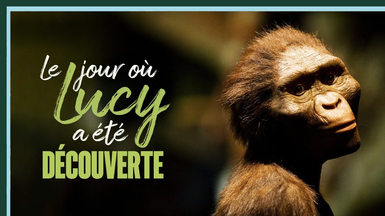 Le jour o&ugrave; Lucy a &eacute;t&eacute; d&eacute;couverte - Culture Prime