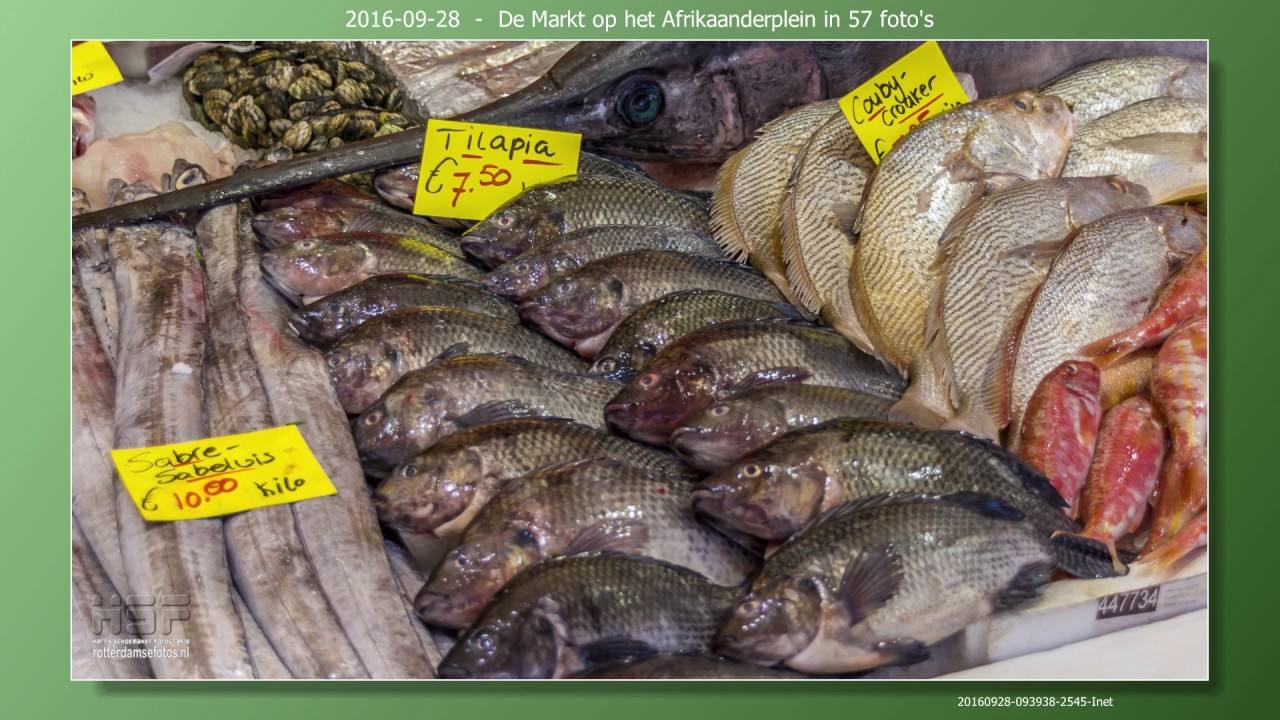 2016 09 28 57 Markt Afrikaanderplein