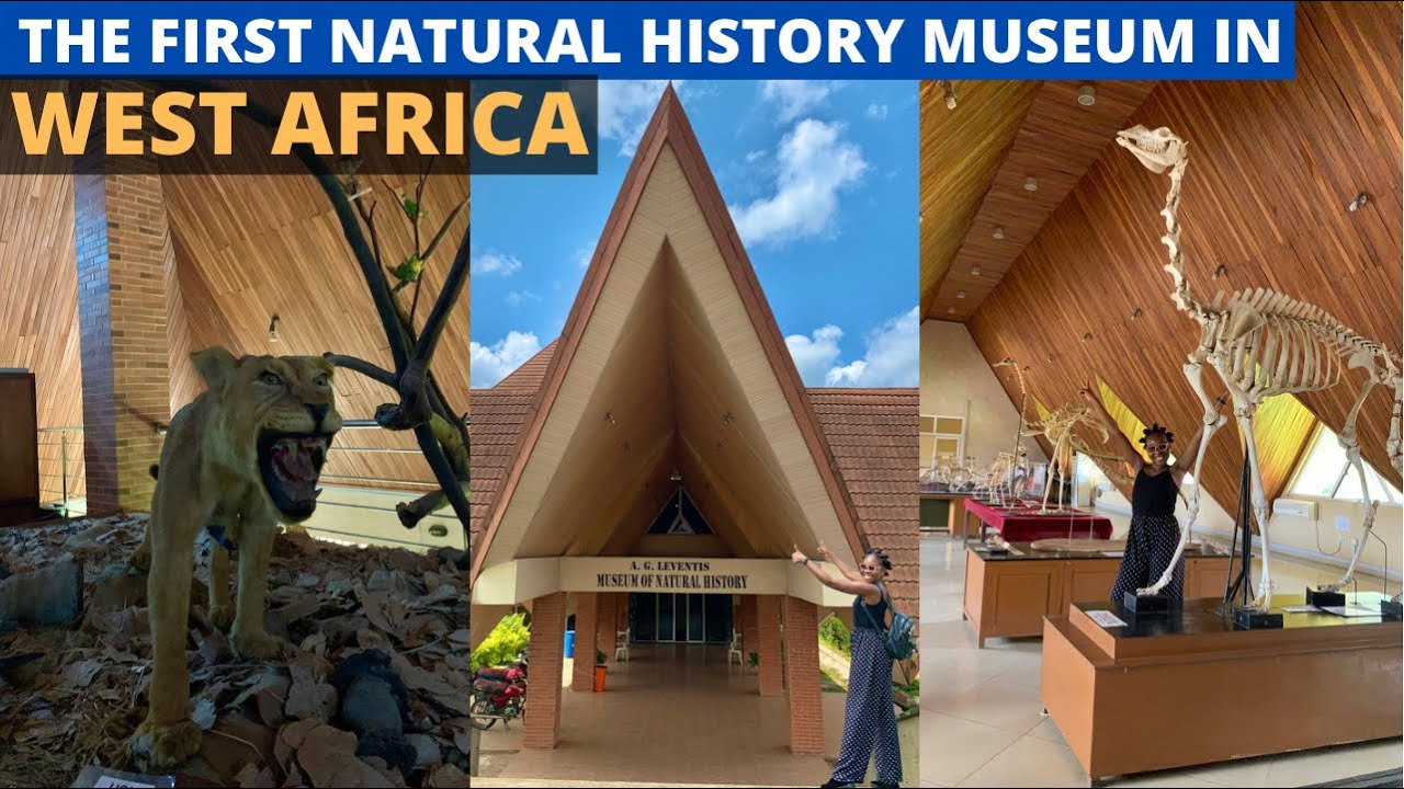 Full Tour of the Natural History Museum, OAU Ife