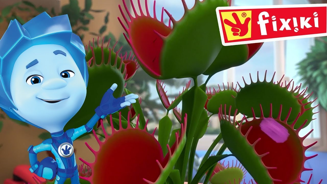 Desene cu Fixiki– Planta carnivoră - Desene animate educative pentru copii