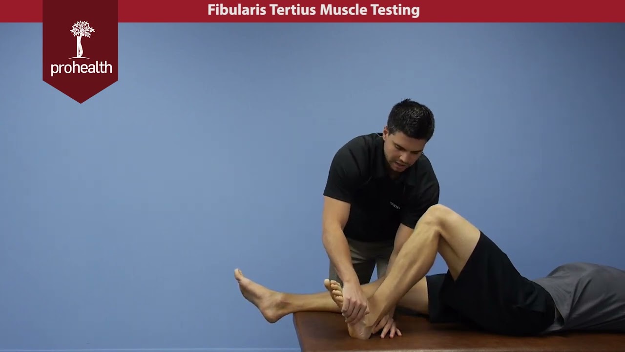 Тест на пальпацию малоберцовой мышцы (Fibularis Tertius Muscle Test) от доктора Визняка (Dr Vizni...
