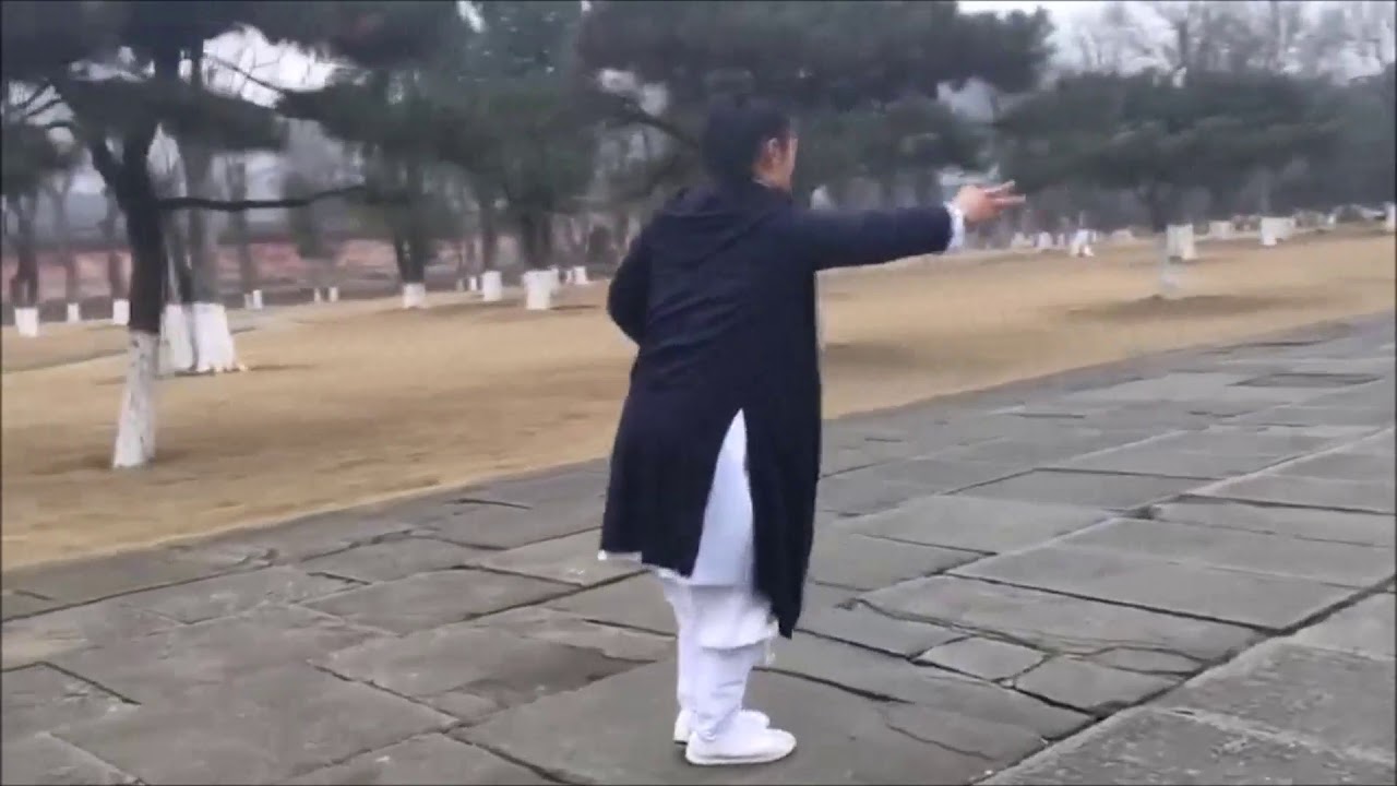 Learn Xing Yi Quan traditional form