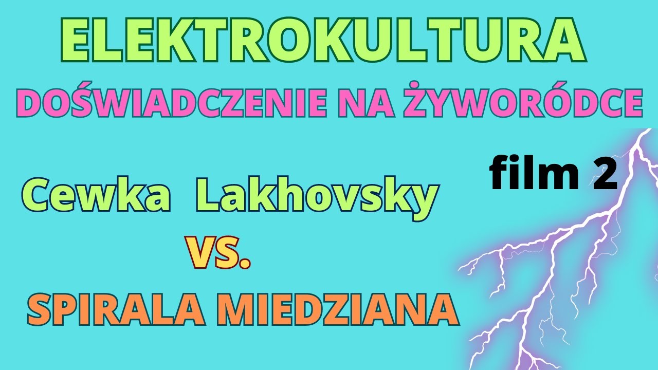 Żywor&oacute;dka Cewka Lakhovsky vs  Spirala Miedziana po miesiącu