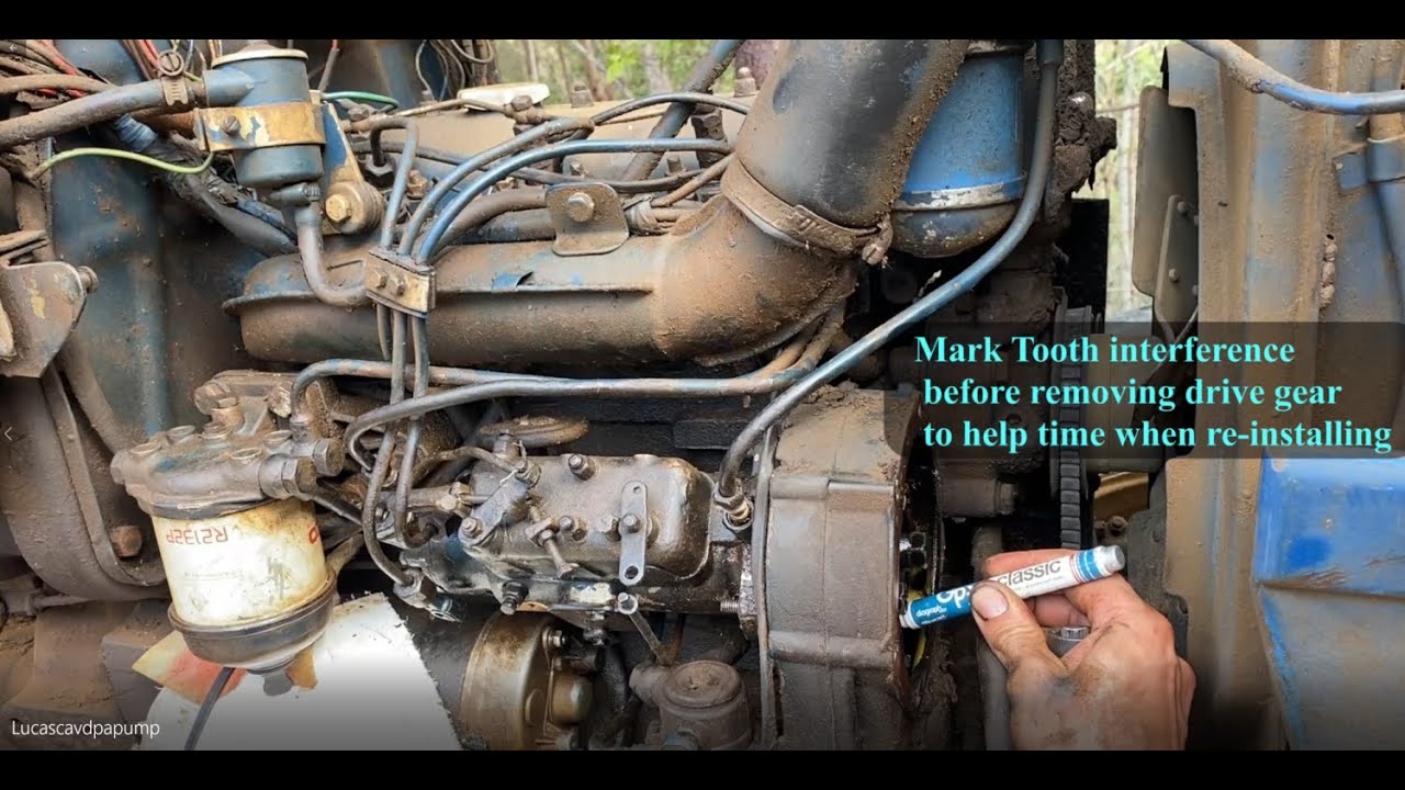 Lucas cav dpa DIESEL INJECTOR PUMP REBUILD reseal