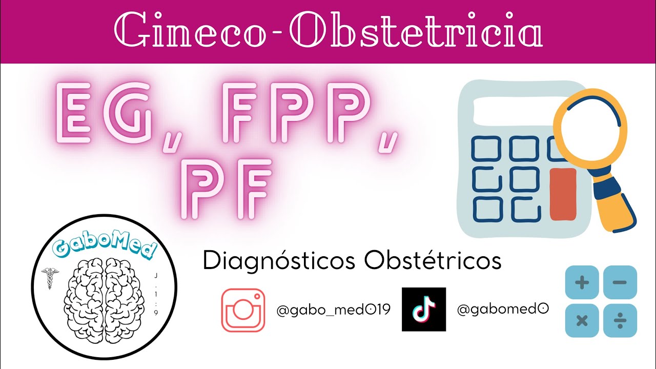 C&aacute;lculo De La Edad Gestacional, Fecha Probable De Parto Y Peso Fetal