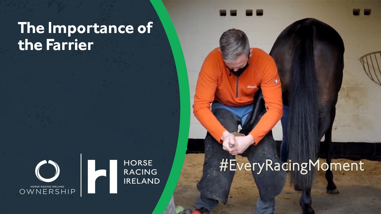 Importance of the Farrier | Racing Explained