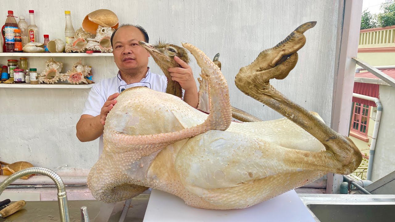 Cách làm lẩu đà điểu ớt hiểm // Sơn Hào