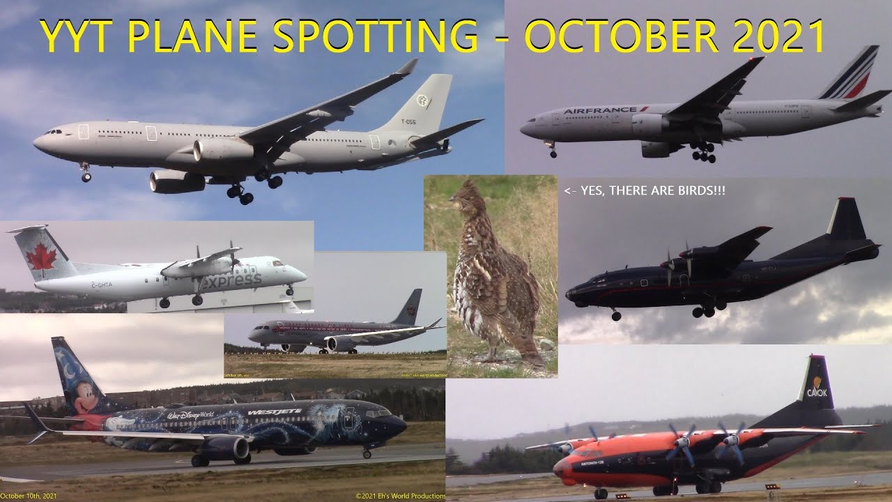 40+ Minutes of St. John's International Airport (YYT) Plane Spotting - October 2021 - Must see!!!