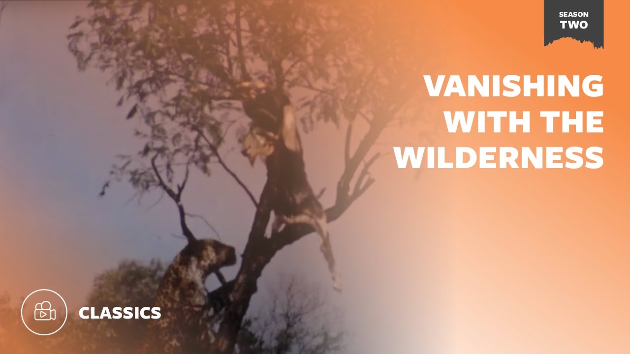 Vanishing With The Wilderness