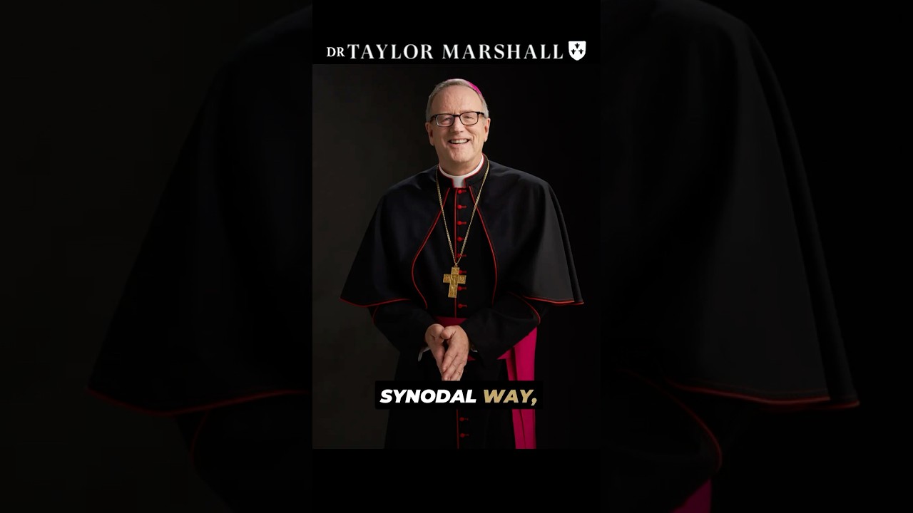 Bishop Barron vs German Bishops on the Synodal Way