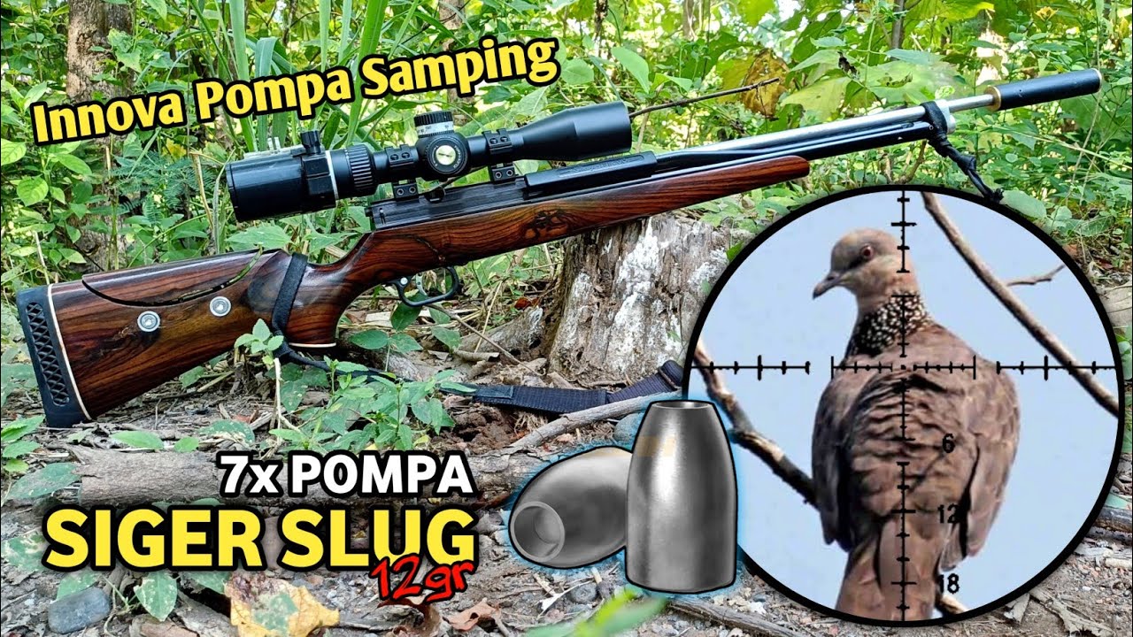 Innova Pomping berburu tekukur pakai slug 12gr bonus punai